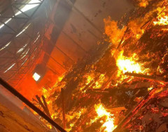 Incêndio atinge galpão e se espalha em presídio de regime aberto