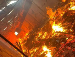 Incêndio atinge galpão e se espalha em presídio de regime aberto