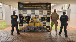 Quase meia tonelada de maconha é apreendida em mata