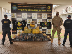 Quase meia tonelada de maconha é apreendida em mata