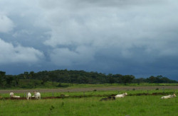 Calorão dá uma trégua nesta segunda-feira e chuvas voltam a ocorrer em MS