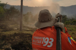 Incêndios são controlados no Pantanal e equipes fazem rescaldo