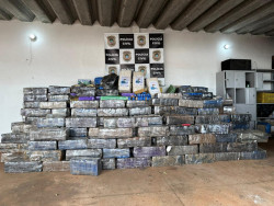 Eldorado registra a maior apreensão de maconha feita pela PC em 2023