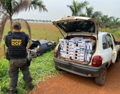 DOF apreende quase meio milhão de reais em contrabando