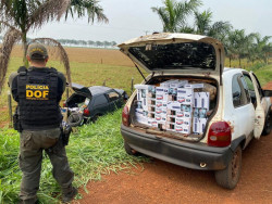 DOF apreende quase meio milhão de reais em contrabando