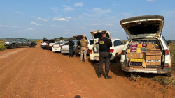 DOF intercepta comboio de sete carros e apreende mais de R$ 600 mil