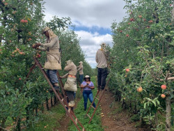 Produtores assumem compromisso com direitos trabalhistas de indígenas