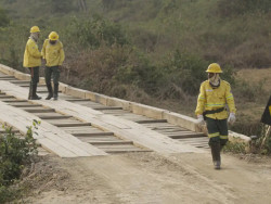 Incêndios em Mato Grosso e Mato Grosso do Sul estão controlados