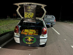 Polícia apreende skunk avaliada em mais de meio milhão de reais