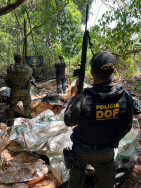 Polícia apreende quase uma tonelada de agrotóxicos em meio a mata