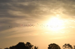 Sábado tem previsão de sol mas instabilidades podem ocorrer a tarde