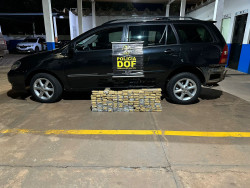 Mulheres que seguiam com maconha para Santa Catarina são presas pelo DOF