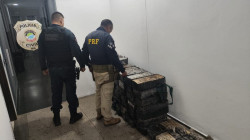 PRF apreende 649 quilos de cocaína em Scania na BR-262