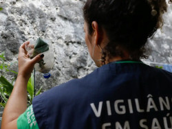 Saúde abre consulta pública sobre inclusão de vacina da dengue no SUS