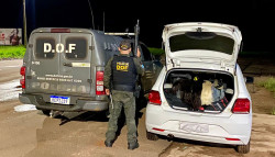 DOF apreende mechas de cabelos humano avaliadas em R$ 340 mil