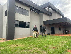 Força integrada faz buscas contra traficantes de armas baseados em MS