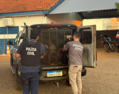 Homem é espancado grupo e cinco pessoas são presas em flagrante