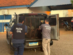 Homem é espancado grupo e cinco pessoas são presas em flagrante