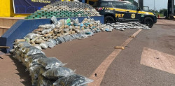 PRF apreende 452 quilos de cocaína e skunk em MS
