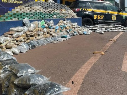 PRF apreende 452 quilos de cocaína e skunk em MS
