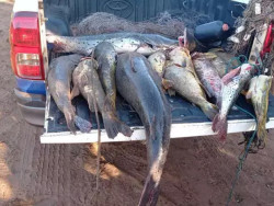 PMA apreende 902 quilos de pescado e aplica R$ 134 mil em multas