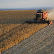 Dourados ganha destaque em ranking da Revista Exame para negócios do Agro