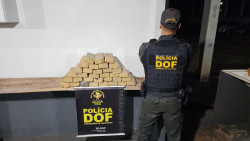 Droga que seguia para Rondônia é apreendida pelo DOF em Maracaju