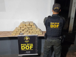 Droga que seguia para Rondônia é apreendida pelo DOF em Maracaju