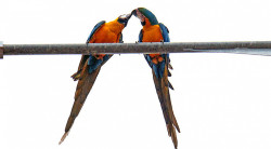 Tempo e clima agradável com sol e friozinho no dia dos namorados