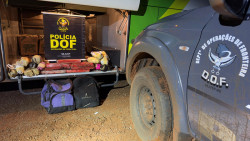 Passageira de ônibus é presa com maconha e haxixe marroquino