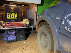 Passageira de ônibus é presa com maconha e haxixe marroquino