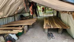 MS teve 87 trabalhadores resgatados em situação de escravidão