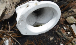 Em uma semana, casos prováveis de dengue sobem de 120 mil para 217 mil