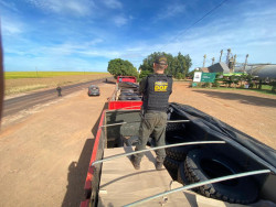 Condutor de carreta é preso com drogas e pneus ilegais