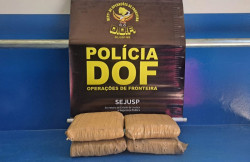 Passageira de ônibus que seguia com maconha para Goiânia é presa pelo DOF