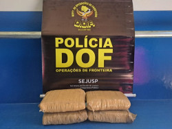 Passageira de ônibus que seguia com maconha para Goiânia é presa pelo DOF