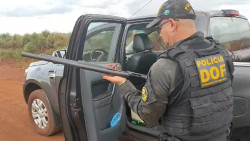 Homem com arma de fogo e munições é preso pela polícia