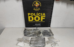 Passageiros de ônibus que viajavam com drogas são presos pelo DOF