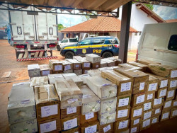 Caminhão de empresa de Dourados “cai” com 7,1 mil celulares