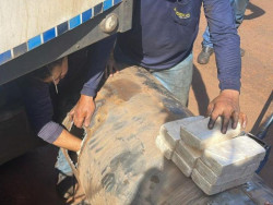 Polícia Federal apreende 200 quilos de cocaína em Deodápolis