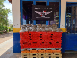 Polícia prende mulher com 200 quilos de drogas em Ponta Porã