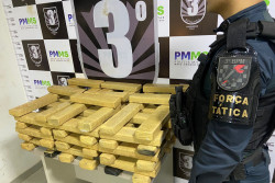 PM fecha entreposto do tráfico e apreende quase 80 quilos de drogas