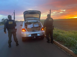 Veículo carregado com cigarros contrabandeados é apreendido em Maracaju