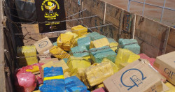 DOF apreende carreta com 8 toneladas de maconha em carga de soja