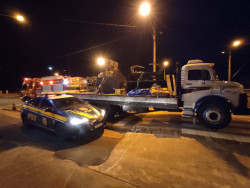 Polícia encontra quase uma tonelada de maconha em caminhão