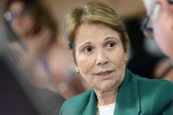 Tereza é chamada de "traíra" por bolsonaristas