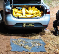 DOF apreende maconha e 540 munições de grosso calibre no “Copo Sujo”