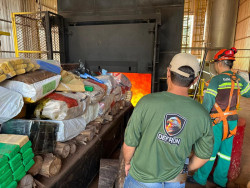 Polícia incinera 7,6 toneladas de drogas apreendidas na fronteira