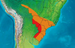 Nova onda de calor atinge região de Dourados
