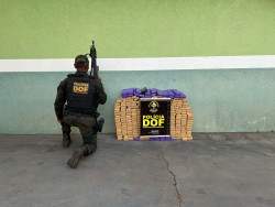 Casal com filho menor é preso com 200 quilos de maconha